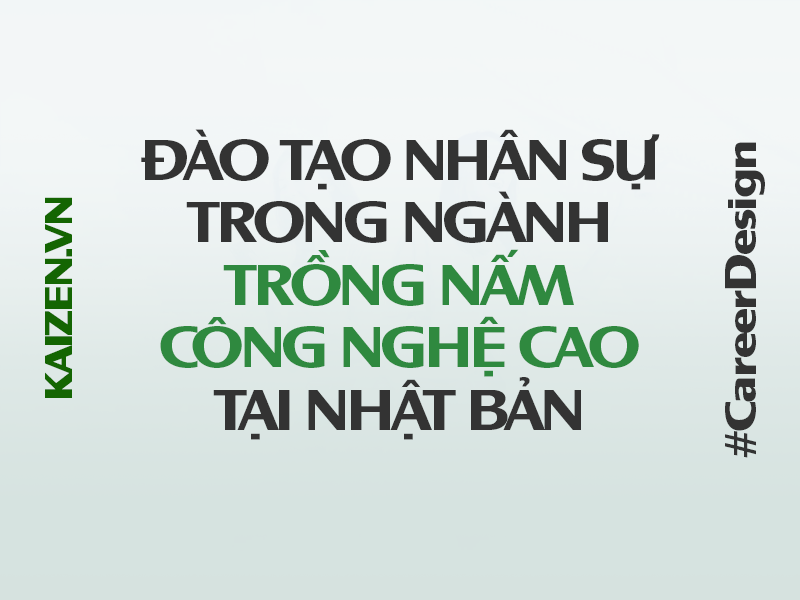 Đào tạo nhân sự TRỒNG NẤM CÔNG NGHỆ CAO – thu nhập lên đến ~35 triệu/tháng