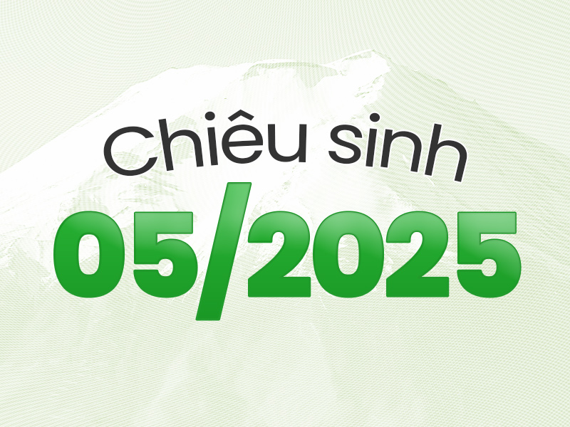Chiêu sinh khai giảng lớp tiếng Nhật các trình độ 05/2025